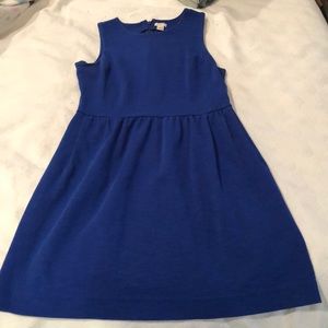 JCrew Factory Royal Blue Cotton Dress - M